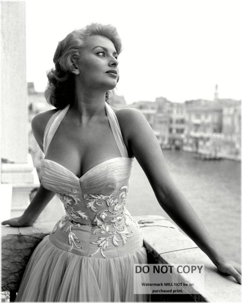 Sophia Loren Publicity Photo