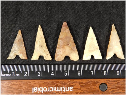 Antique Tidikelt Arrowheads Set
