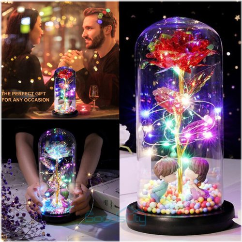 Blooms & Petals Collection