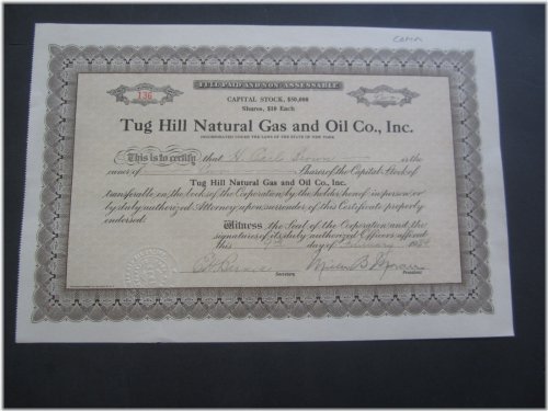 Tug Hill Natural Gas and Oil - 1934 Vintage Stock Certificate from New York