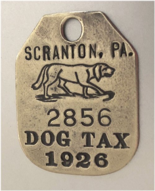 Scranton Canine Identification Tag