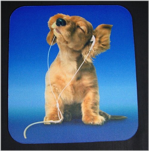 Nirvana Pup Mousepad