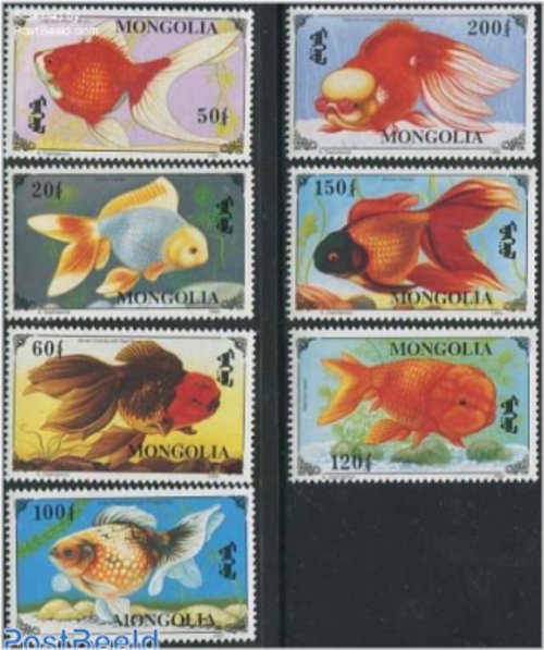 Golden Fish Collection