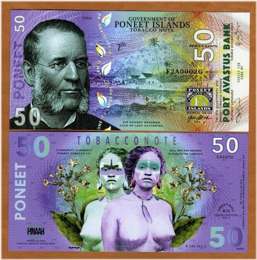 Island Twins Polymer Note