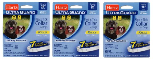 Herbal Shield Flea & Tick Collar