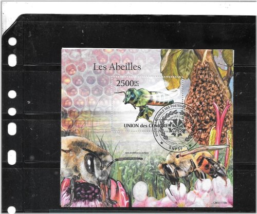 Exquisite Comoro Islands Honey Bee Stamp Collection