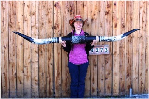 Desert Sunset Steer Horn Mount