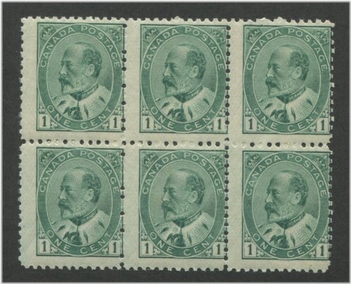 Maple Leaf Multiples Collection