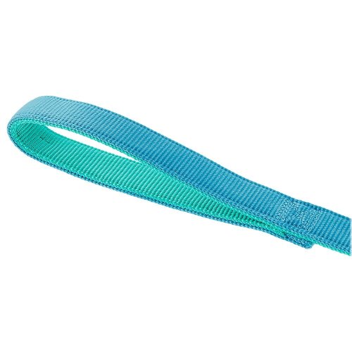 Aqua Teal Nylon Dog Leash