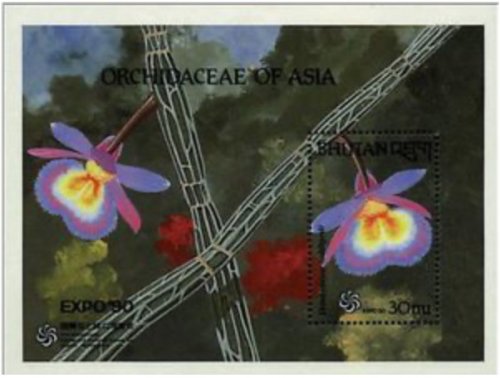 Orchid Treasures of Bhutan