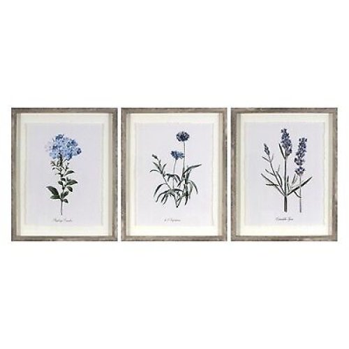 Vintage Botanicals Trio Wall Art Collection