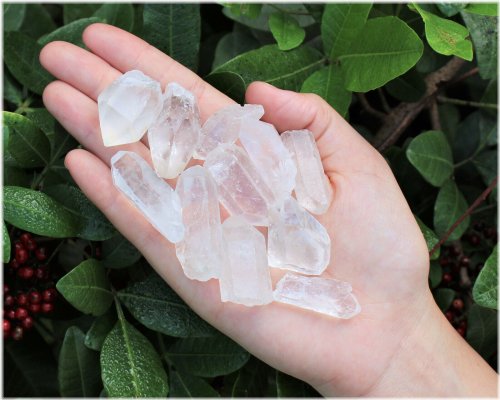 Clear Quartz Crystal Point Collection