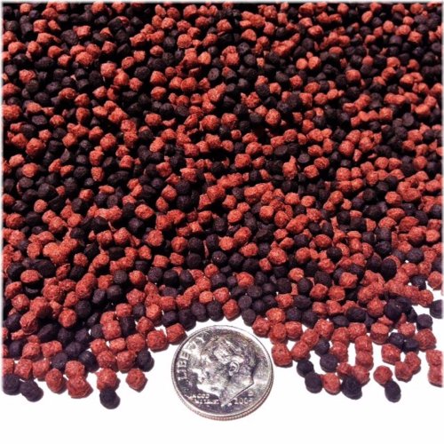 Blackheart Pellets for Healthy Fish Nutrition