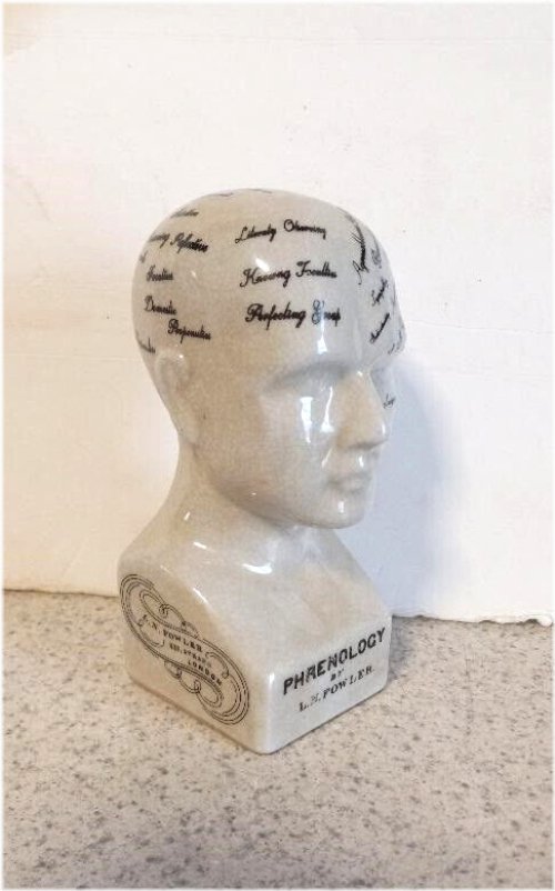 Porcelain Phrenology Bust - 6 Inch Medical Collectible