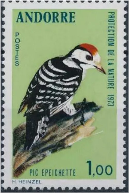 Woodpecker Haven Stamp