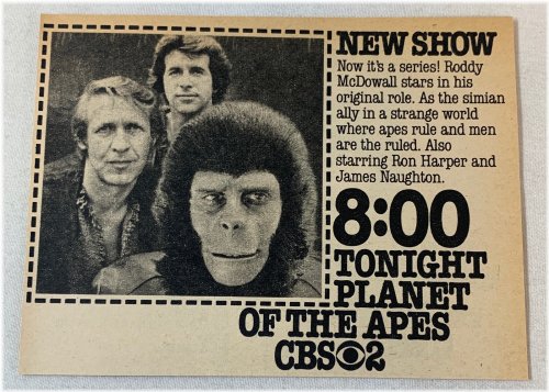 Apes Take Over TV: The Evolution Continues