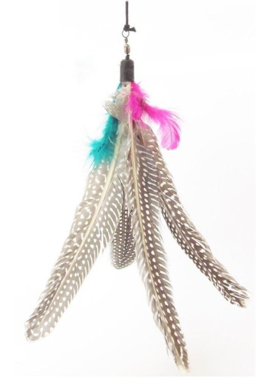 Flock Fun Pack: 12 Feather Refills for Cat Teaser Wand Toys