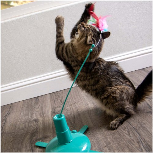 Feline Frenzy Motion Wand