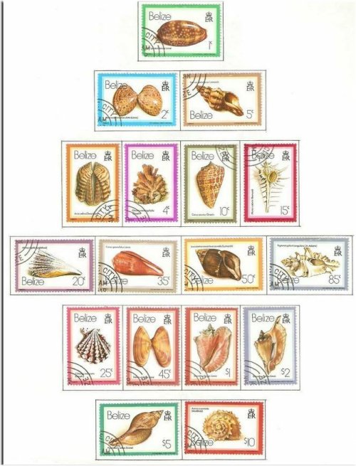 Belizean Seashells Collection: A Stunning Set of 17 Cancelled Stamps from 1980