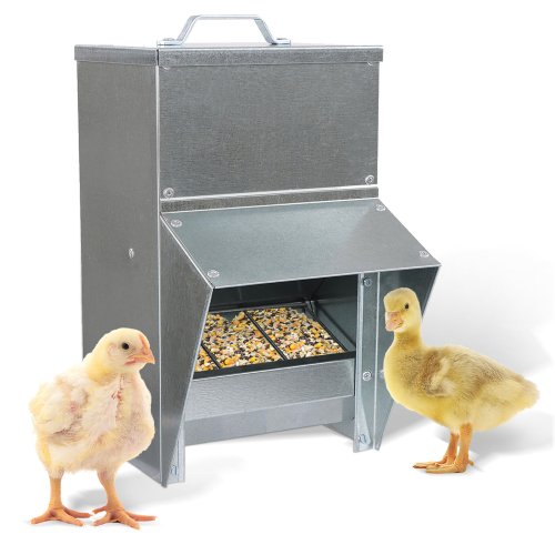 GalvaFeast 11.5lb Weatherproof Chicken Feeder