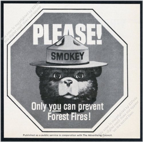Fire Prevention Vintage Print Ad featuring Smokey the Bear
