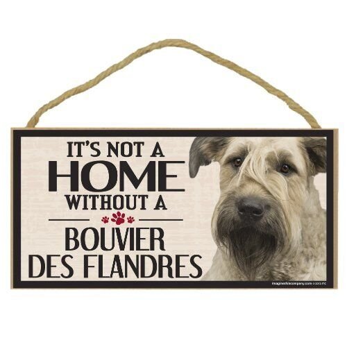 Purrfect Paws Essentials