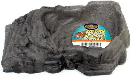 Ramp Access Water Bowl