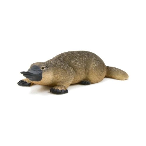 Wildlife Wonders Platypus Figurine