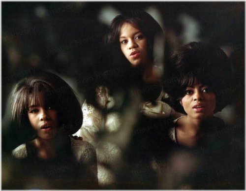 Diana Ross and The Supremes 8x10 Print