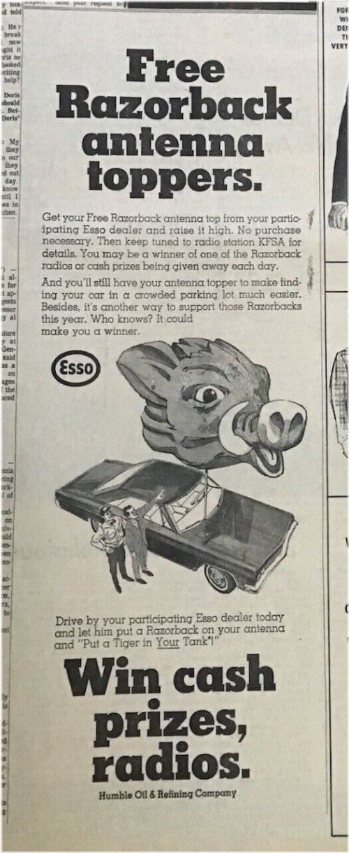 Razorbacks Antenna Topper - Hog Head Shape - 1968 Vintage Newspaper Ad