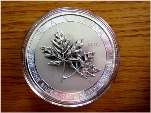 Canadian Silver Giant Maple Leaf