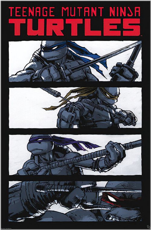 Ninja Heroes Comic Poster