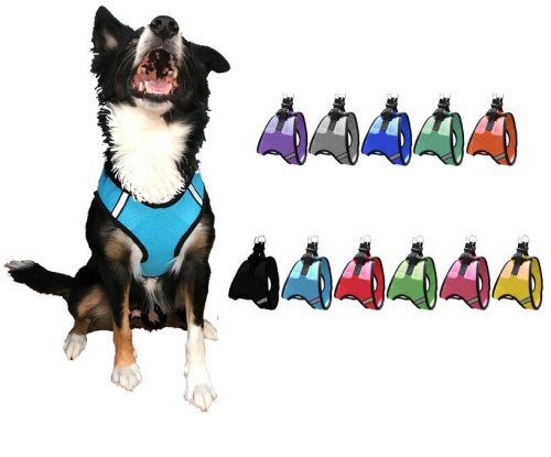 ComfyStep Dog Harness