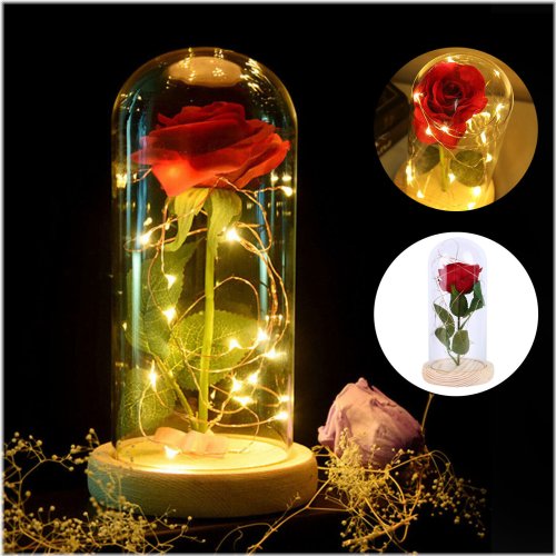 Enchanted Rose Glass Dome LED Night Light