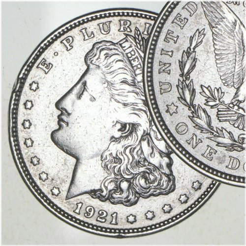 Polished Last-Year Morgan Silver Dollar Bullion