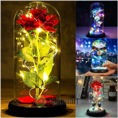 Celestial Blossom Glass Dome LED Light