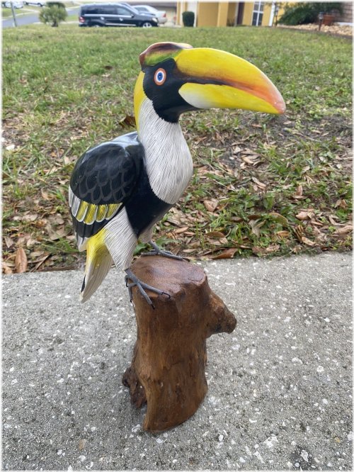 Carved Toucan Driftwood Sculpture