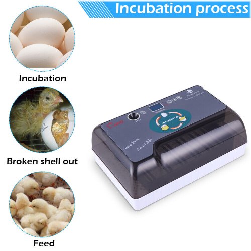 FeatherNest 7 Automatic Egg Incubator