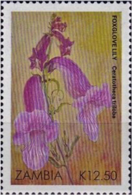 Zambian Floral Elegance Stamp Collection