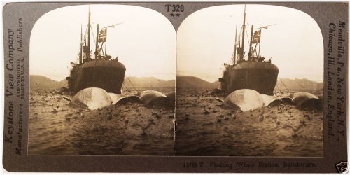Arctic Humpback Vista - Vintage Stereoview Set