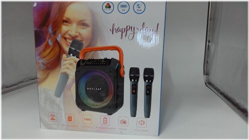 Harmony Duo Karaoke System