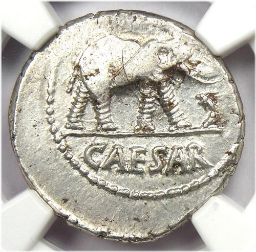 Julius Caesar Silver Elephant Denarius Coin - 49 BC NGC AU Certified