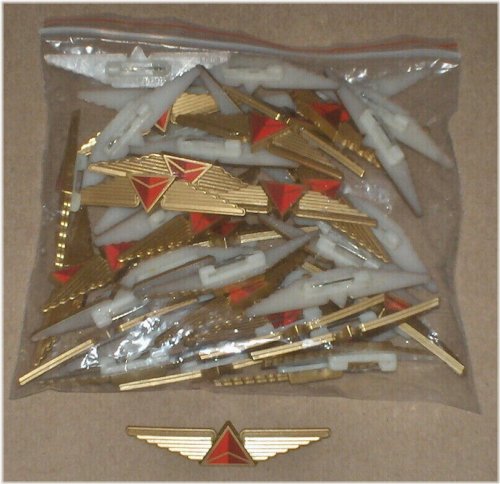 Delta Airlines Junior Pilot Pin Set