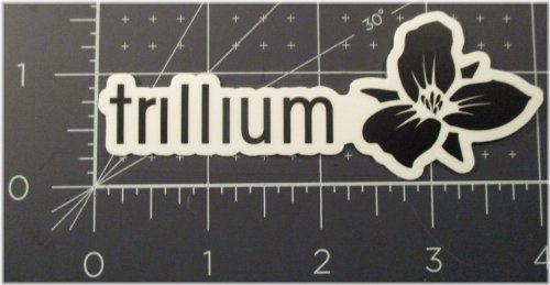 Mettle State Sticker: A Unique Collectible from Trillium Brewery