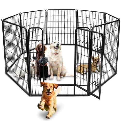 Canine Corral