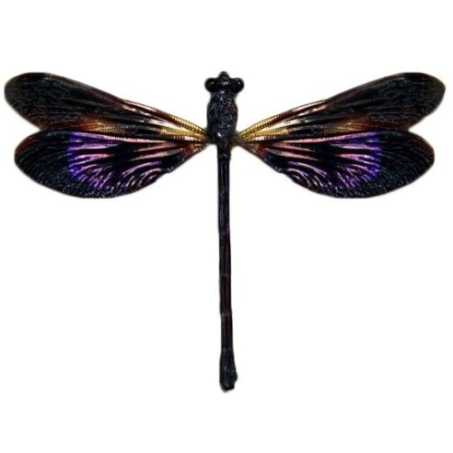 Indonesian Purple Damselfly Display