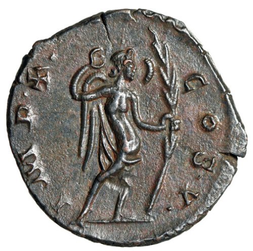 Victorious Palm Frond