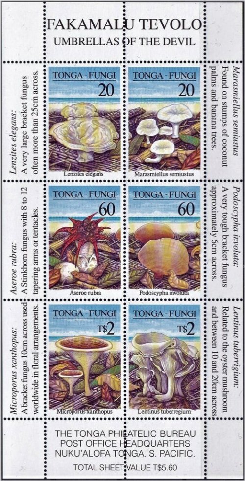 Tongan Fungi and Mushroom Stamp Set