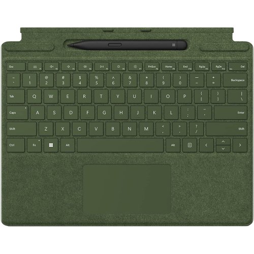 Forest Typing Companion