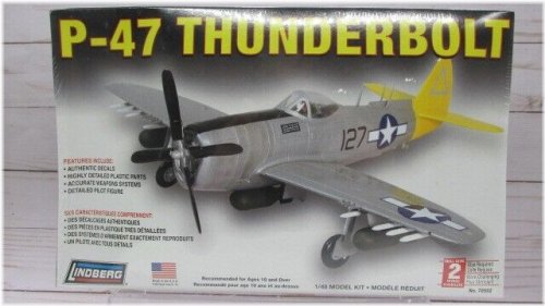 Thunderbolt 1/48 Plastic Airplane Model Kit
